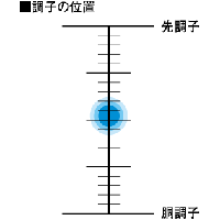 ���~�e�b�h�v��FW-NZ