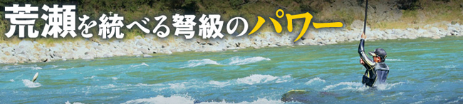 �X�y�V���� �h���S���t�H�[�X NZ