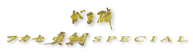 がま磯 フカセ真鯛 スペシャル がま磯 フカセ真鯛 スペシャル
