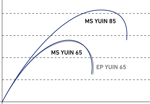MS ユウイン MS ユウイン