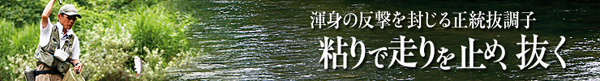 翠幻(すいげん)ZJ