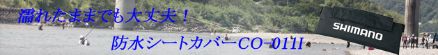 �G�ꂽ�܂܂ł�OK�I�@�h���V�[�g�J�o�[�@CO-011I
